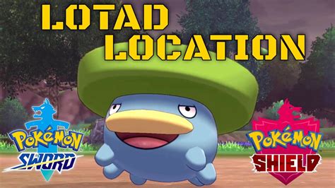lotad pokemon sword.